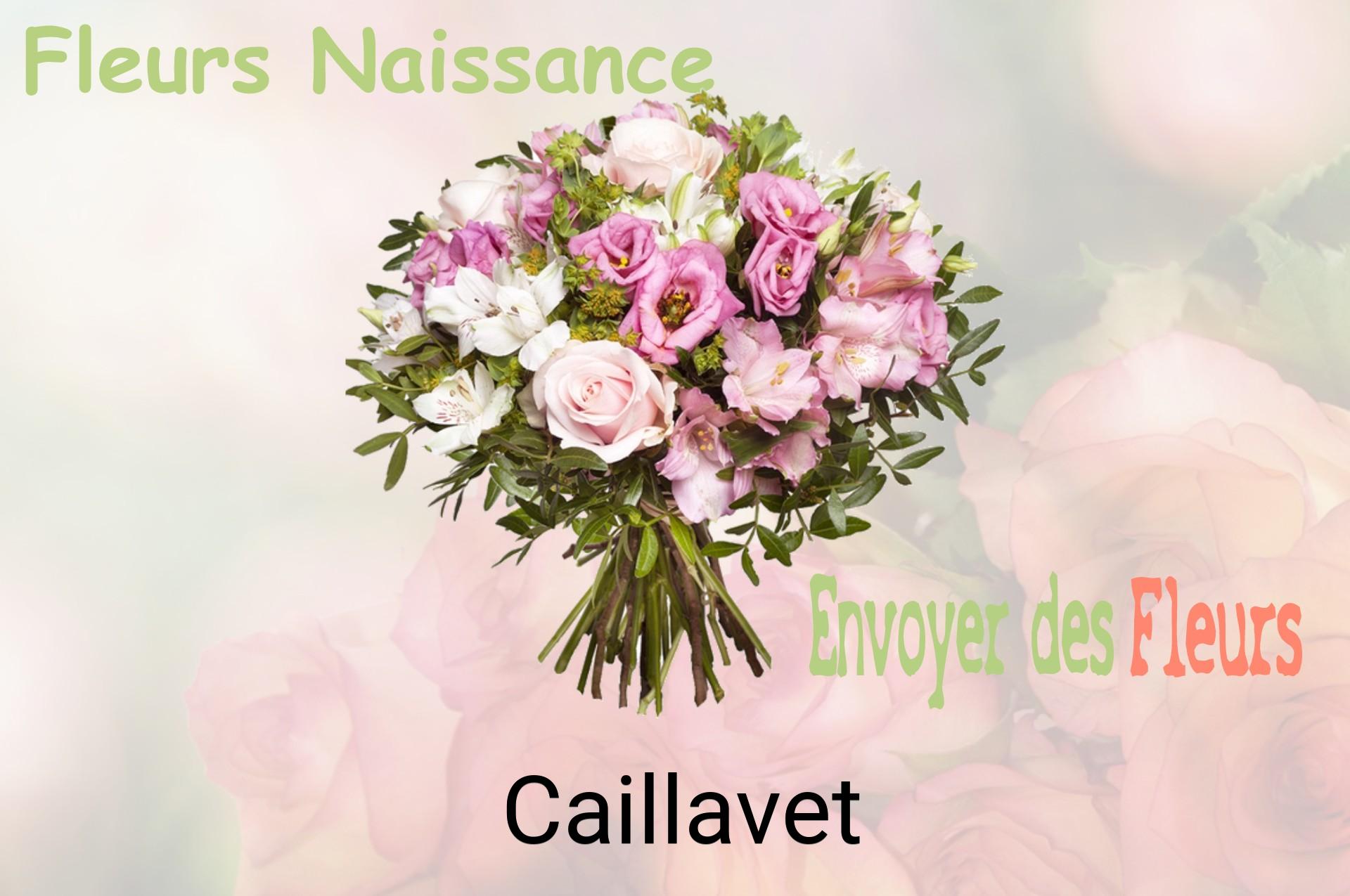Bouquet de fleurs de naissance livré à Caillavet