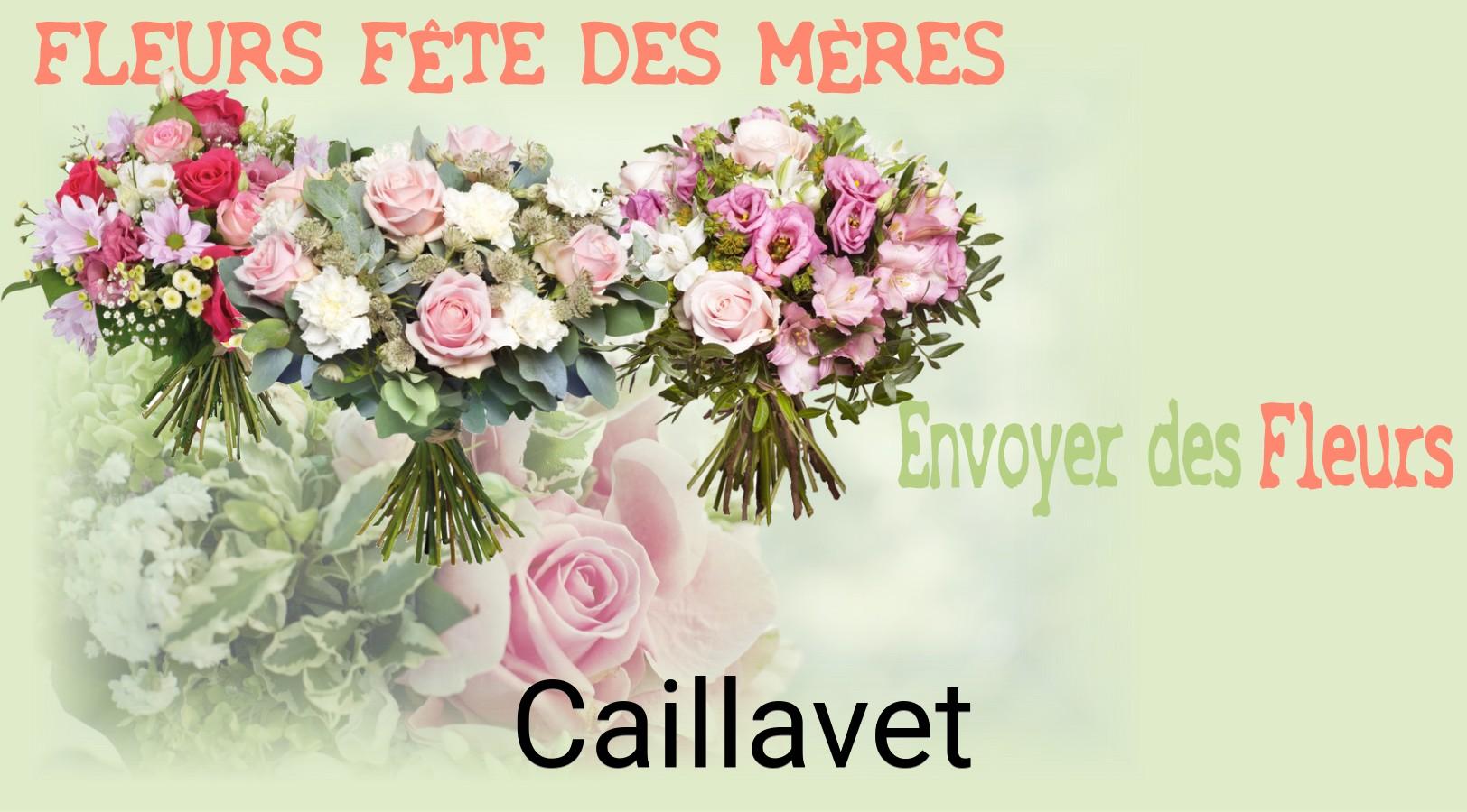 Bouquet de Fête des Mères livré à Caillavet